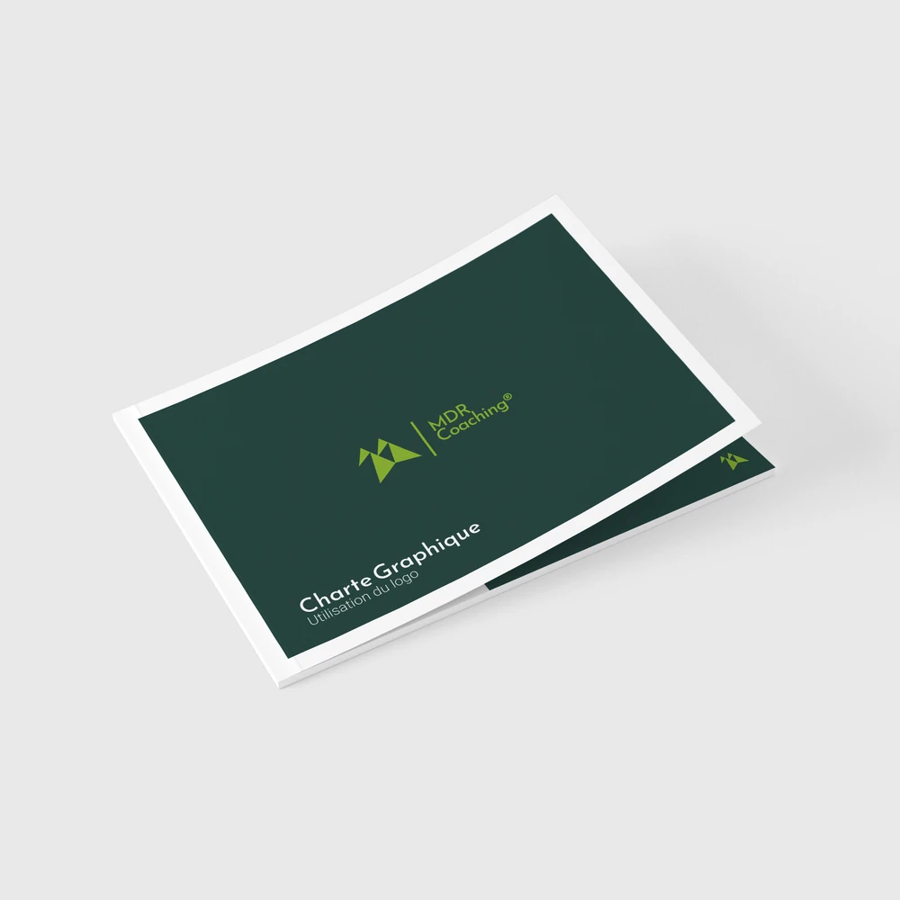 Vue de la couverture de la charte graphique réalisée par Kyoru